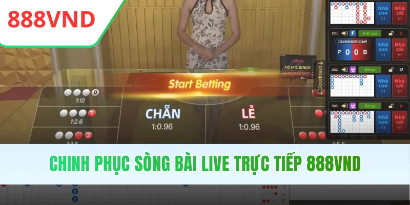 Chinh phục sòng bài live trực tiếp 888VND